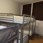 David's Hostel